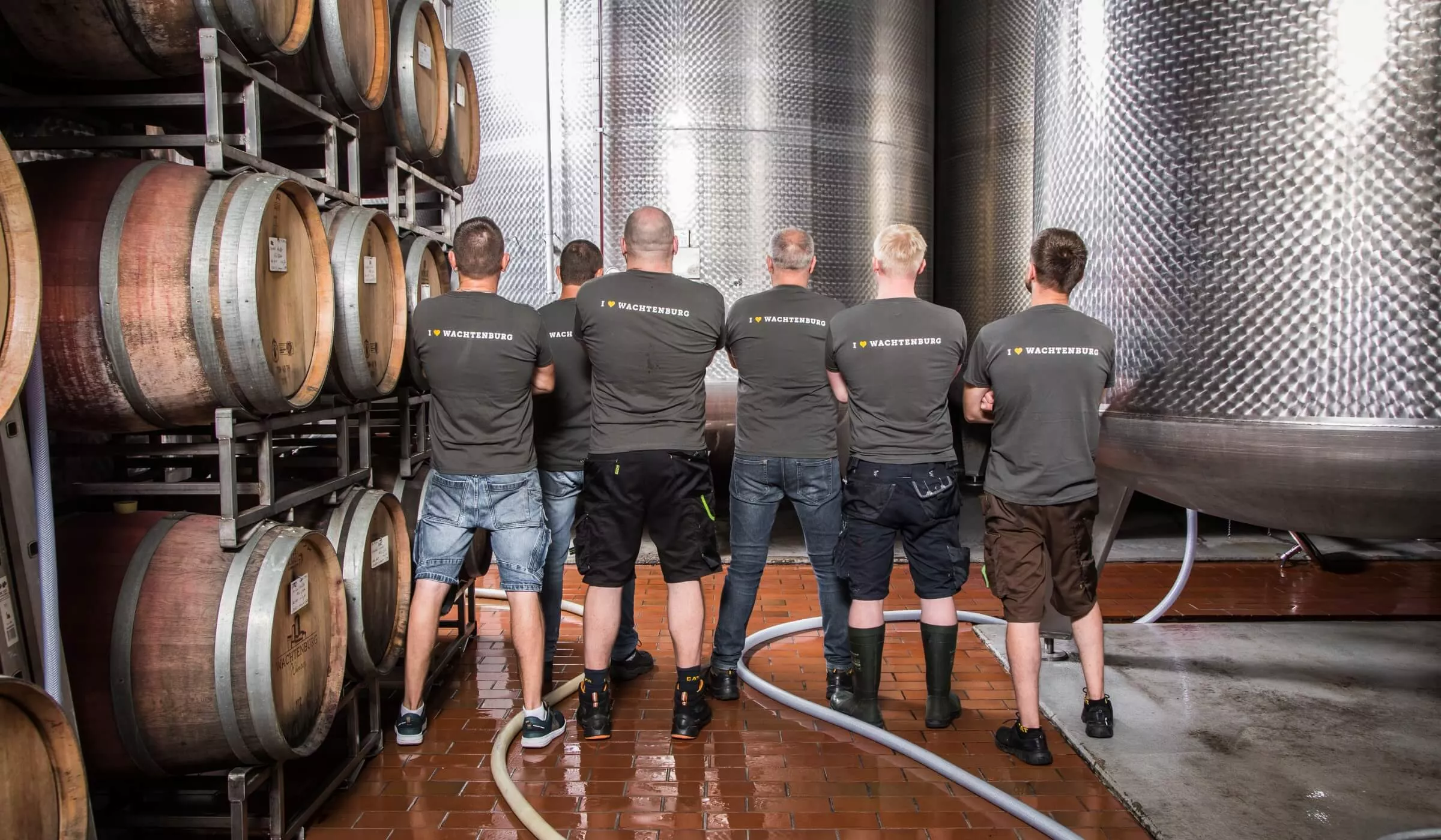 Sechs Männer in passenden Hemden stehen mit dem Rücken zur Kamera vor großen Metalltanks in einer Brauerei oder Weinkellerei. Links sind Holzfässer gestapelt, und Schläuche liegen auf dem nassen Kachelboden.